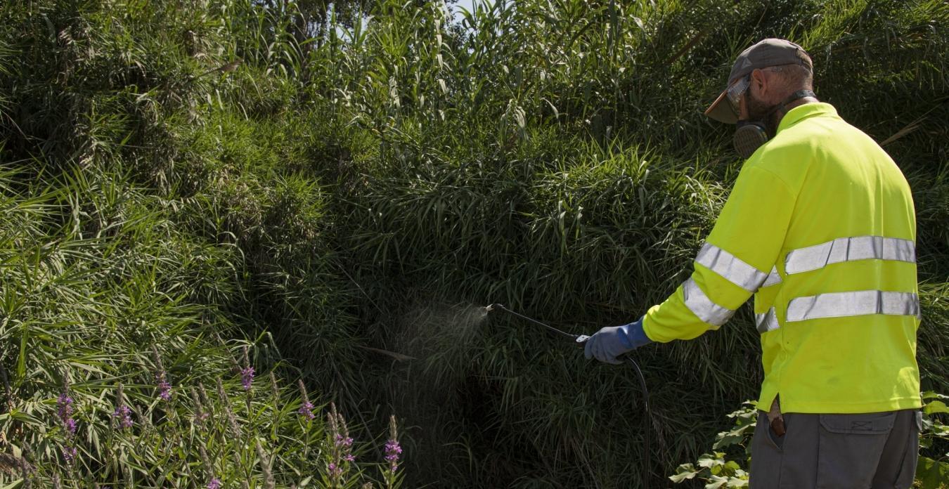 La Diputació de Castelló focalitzarà les seues actuacions contra els mosquits en el litoral nord i en les zones habitualment conflictives del centre i el sud de la província