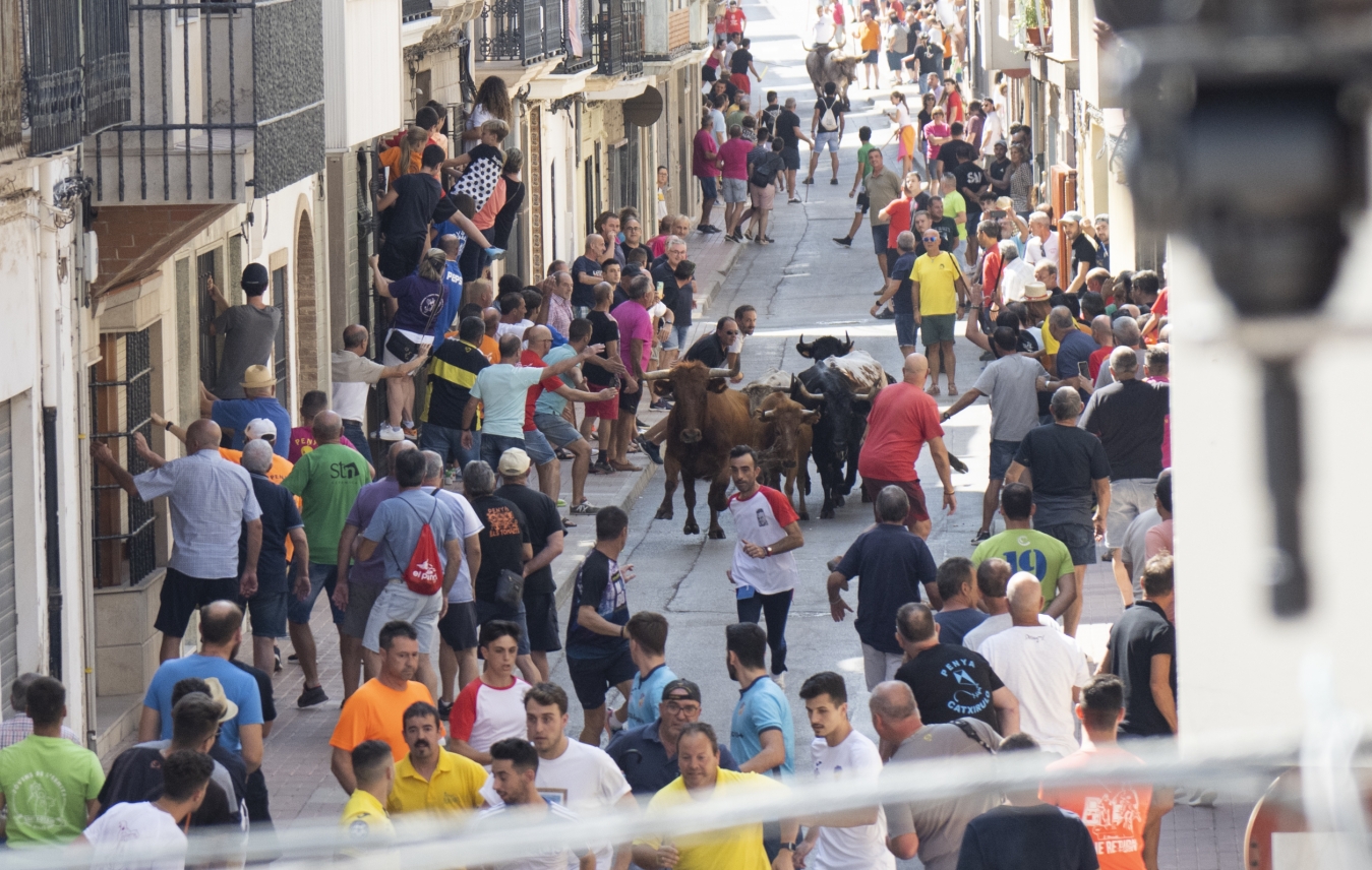 La Diputació de Castelló reforça el seu compromís amb les associacions taurines amb un increment del 55,5% en les ajudes