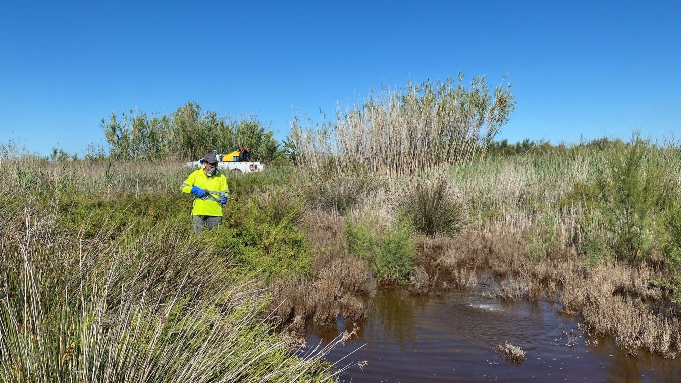 La Diputación refuerza las actuaciones de vigilancia y tratamiento de los focos de cría de mosquitos tras las últimas lluvias registradas