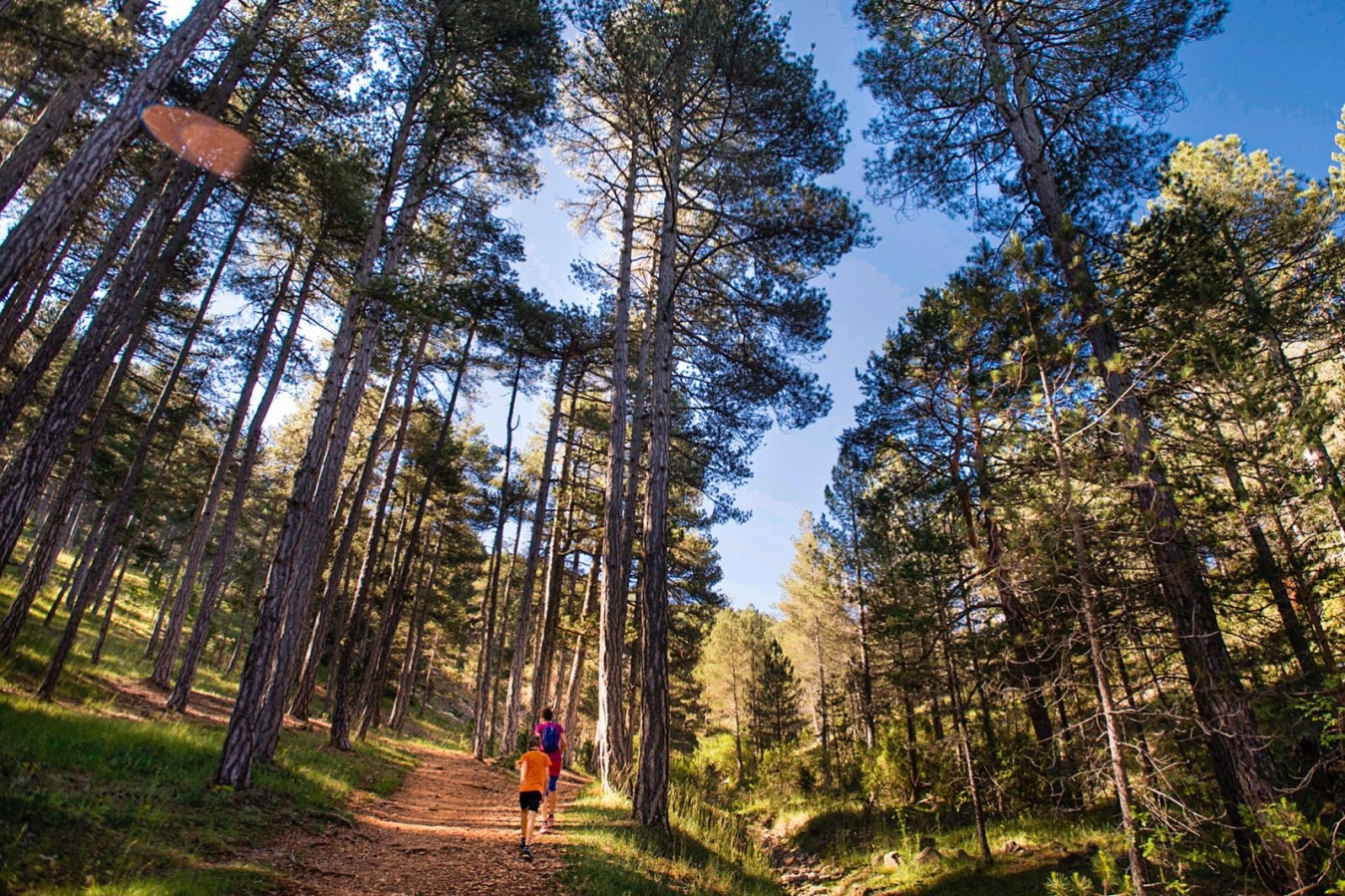 La Diputación de Castellón refuerza su compromiso con la naturaleza y concede 200.000 euros para la mejora de los senderos municipales