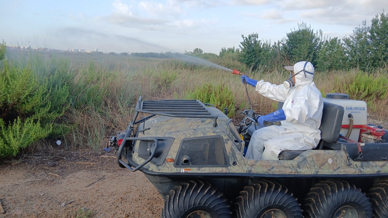 La Diputació de Castelló intensifica els treballs de vigilància i fumigació de mosquits després del pas de la DANA per la província